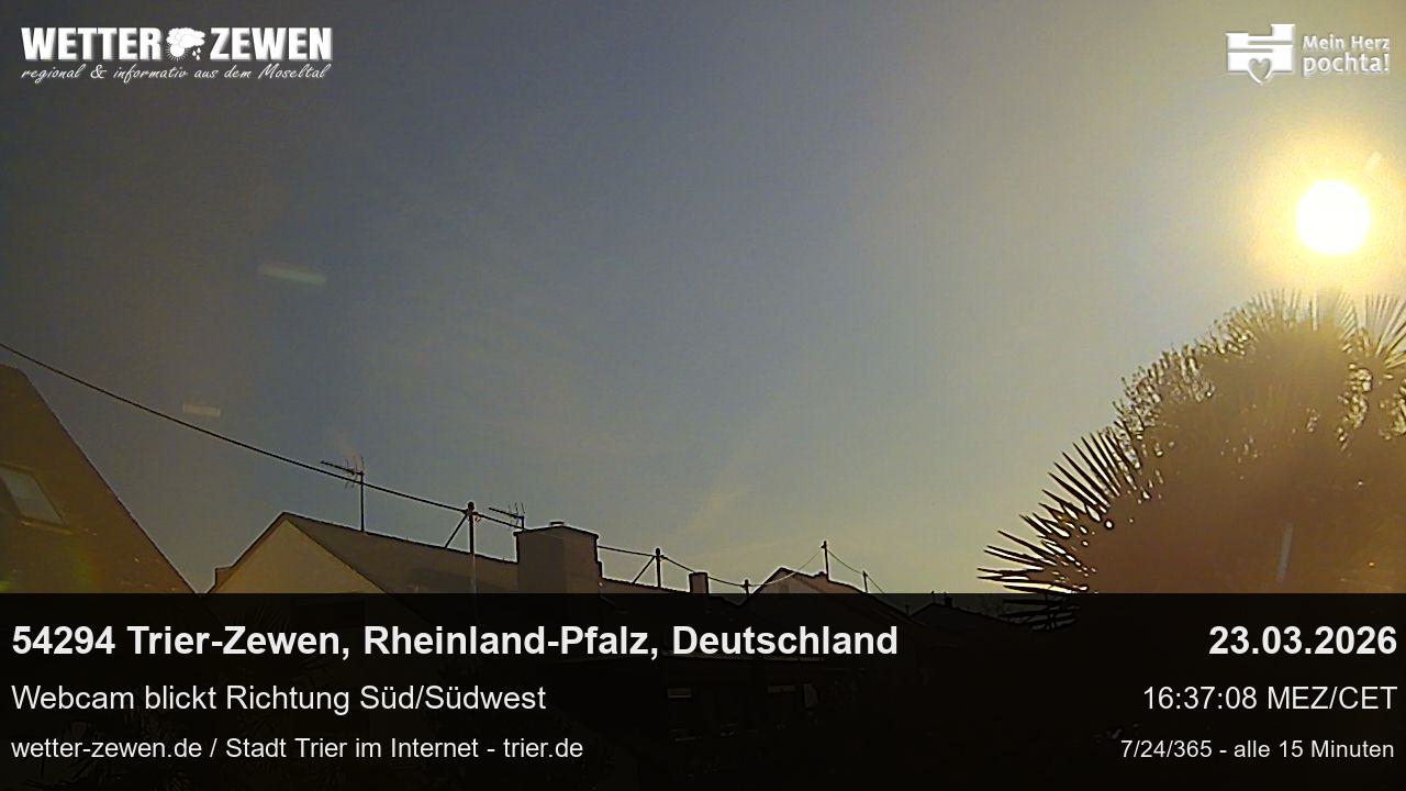 Bild