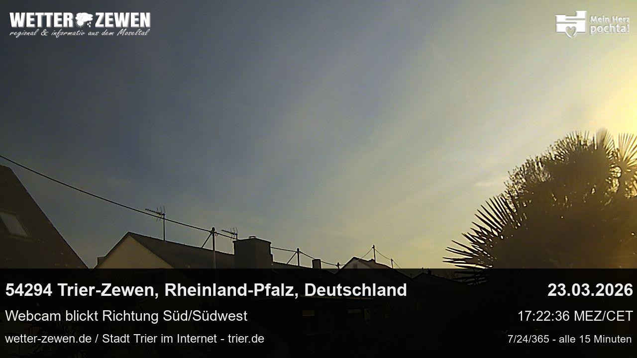 Bild