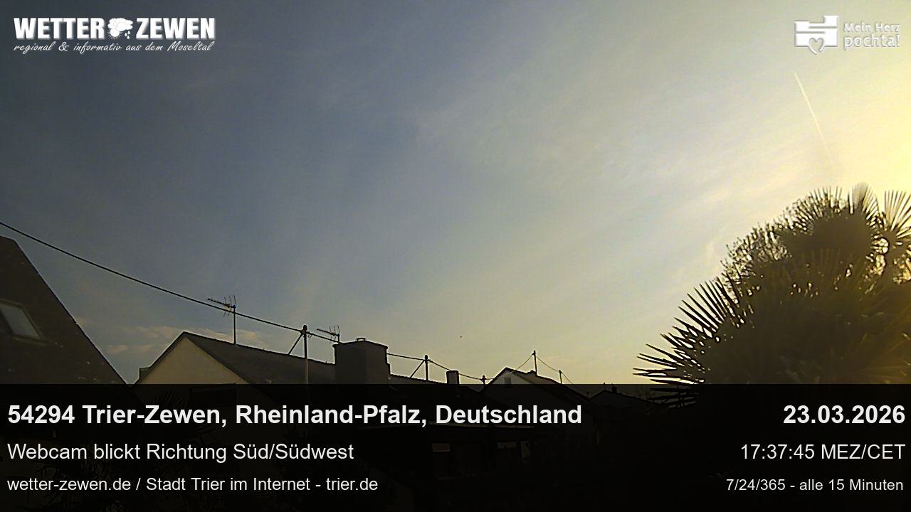 Bild