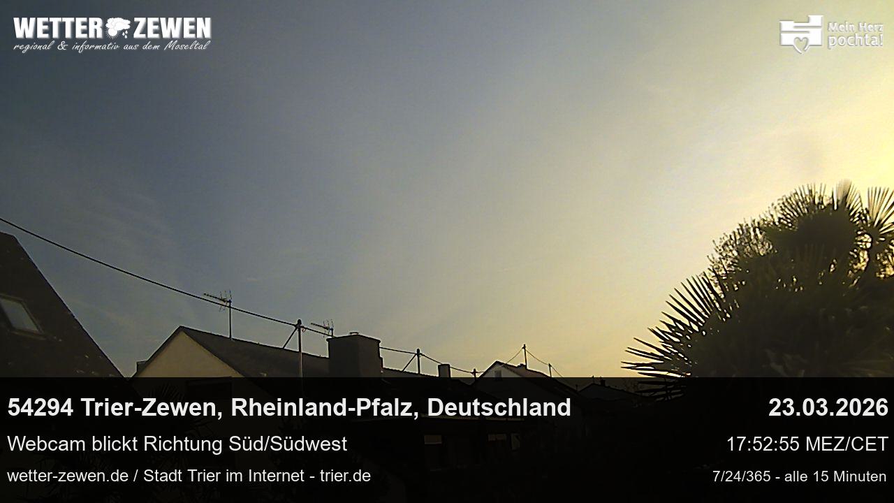 Bild