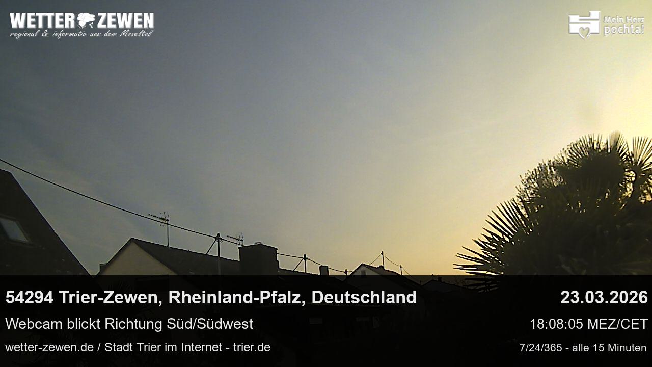 Bild