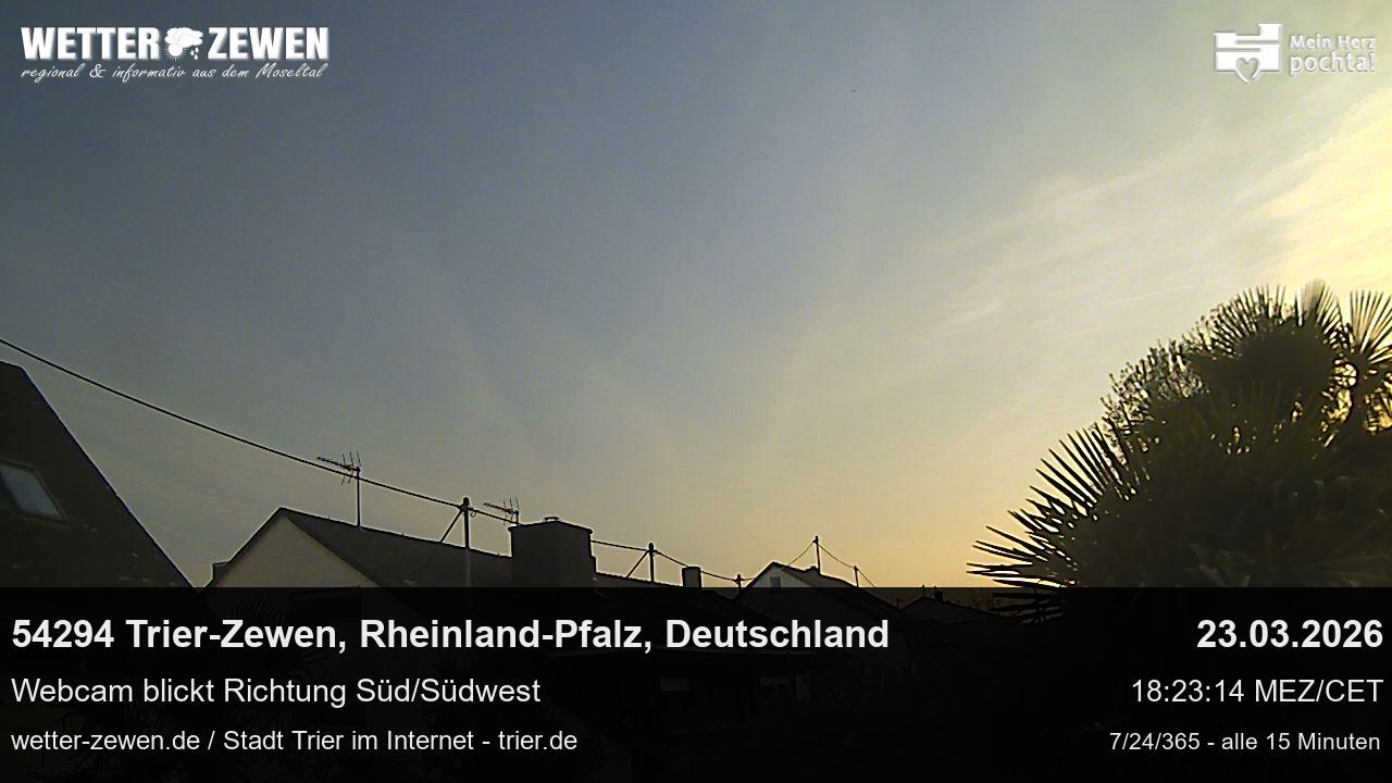 Bild