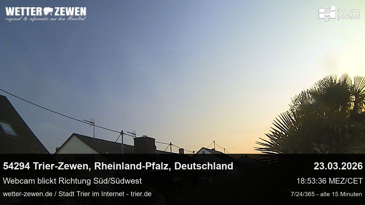 Bild