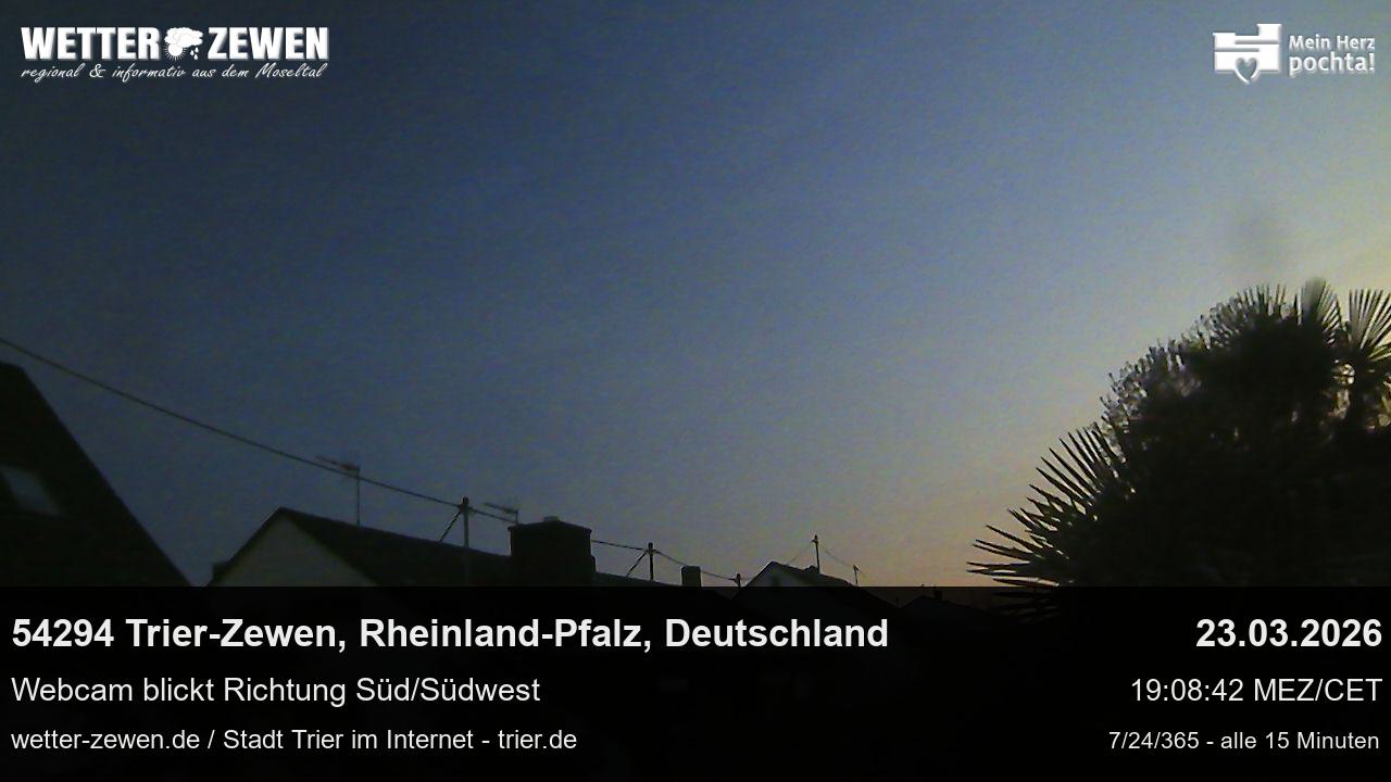 Bild
