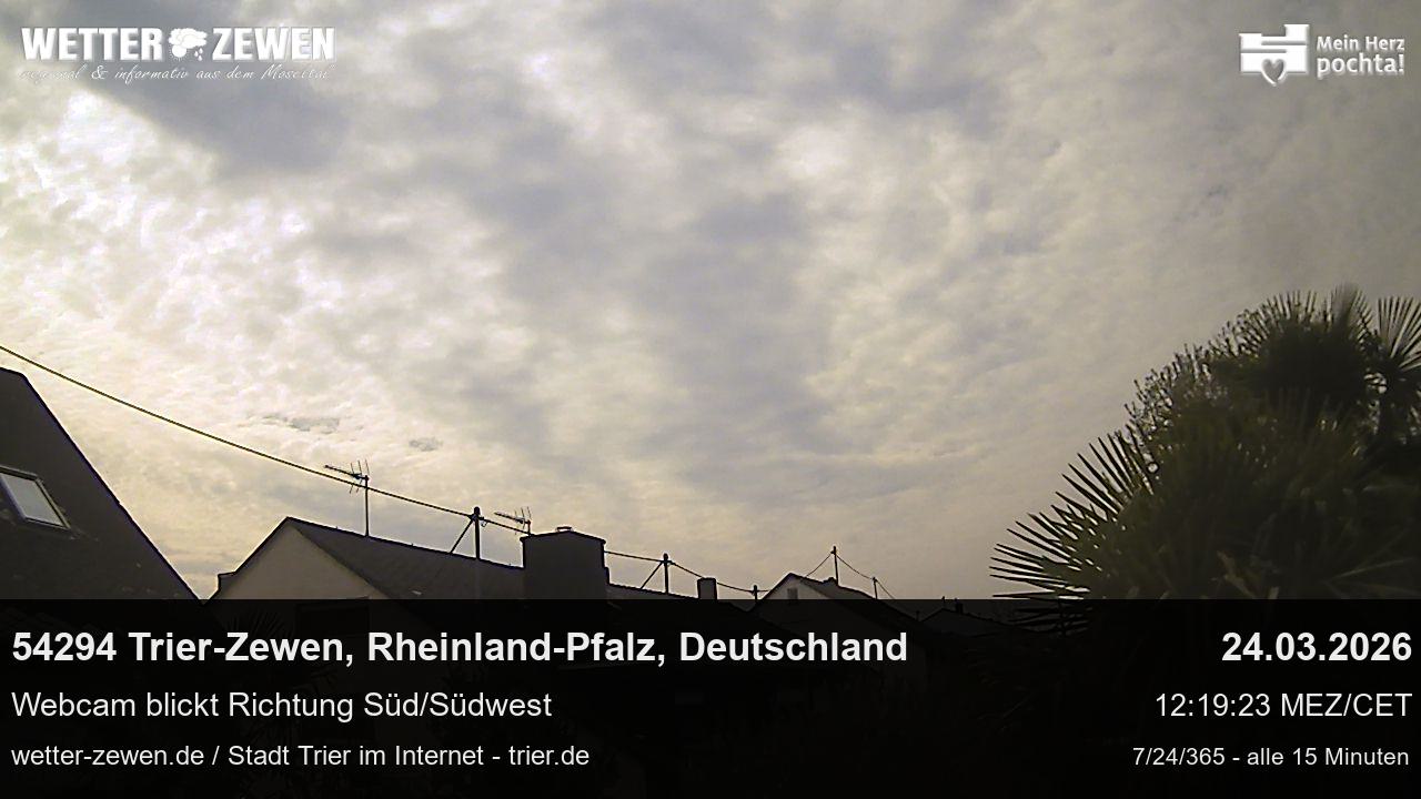 Bild