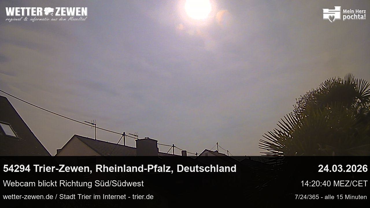 Bild