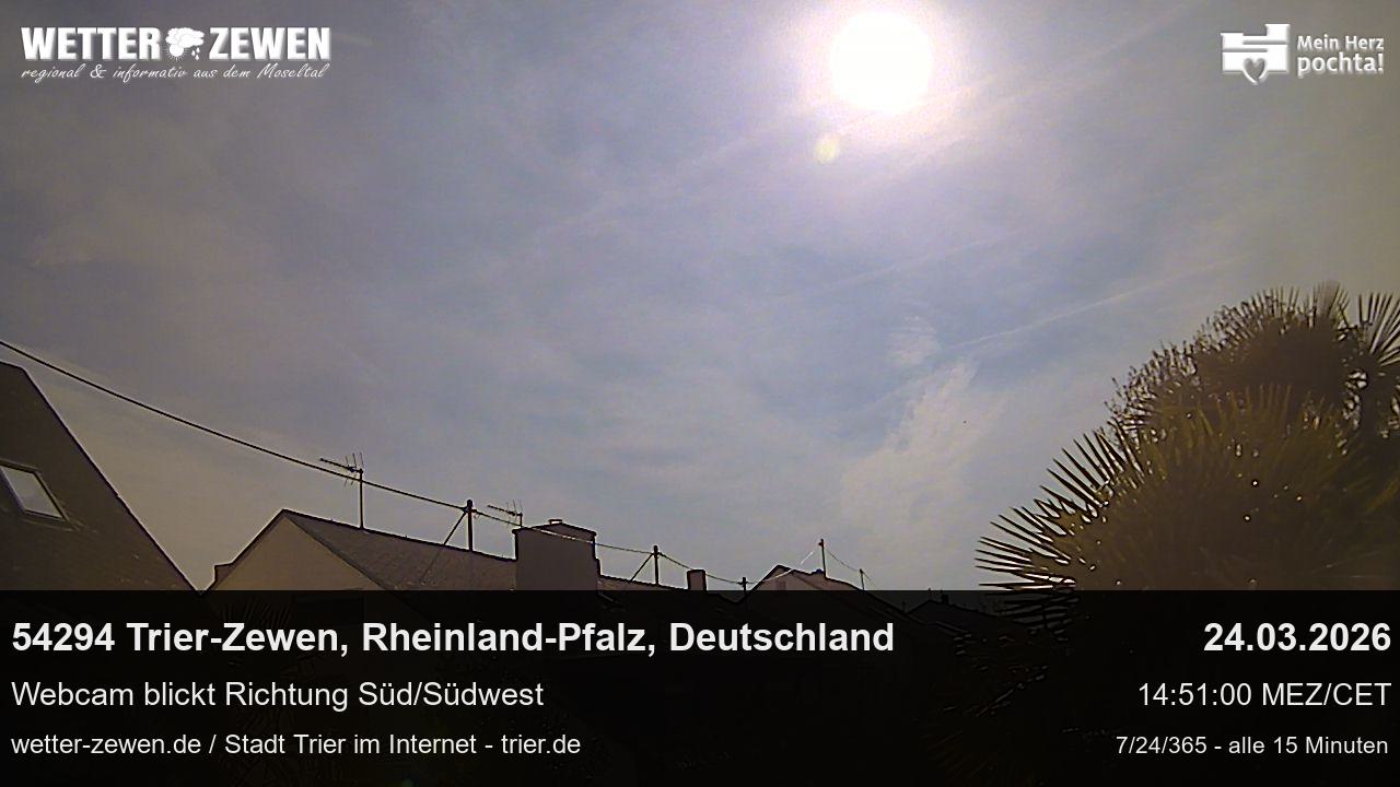 Bild