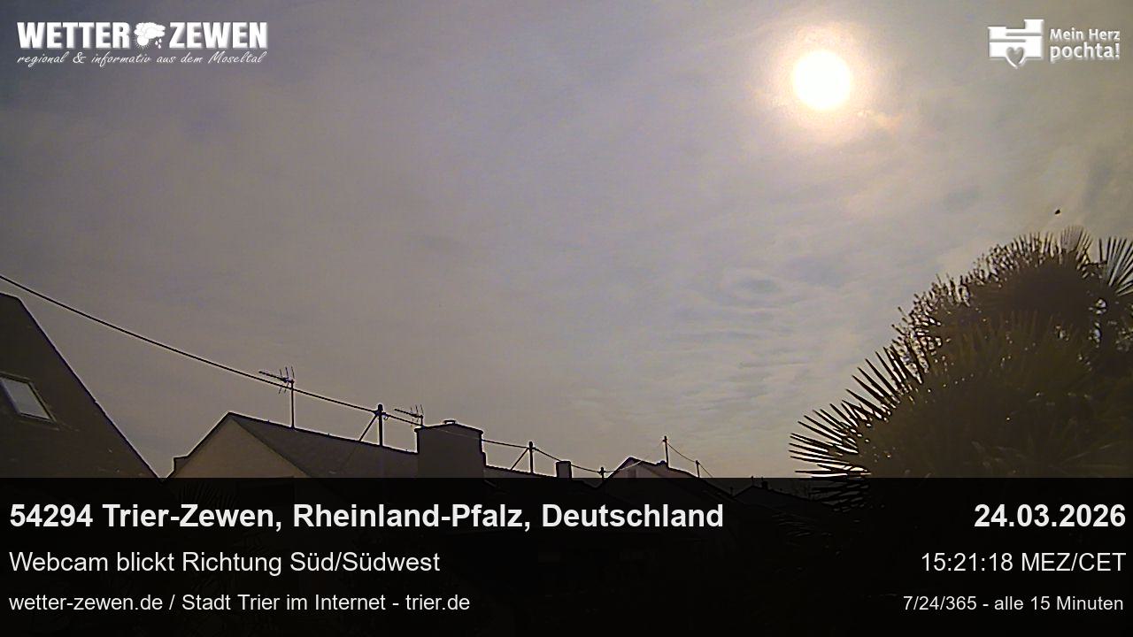 Bild