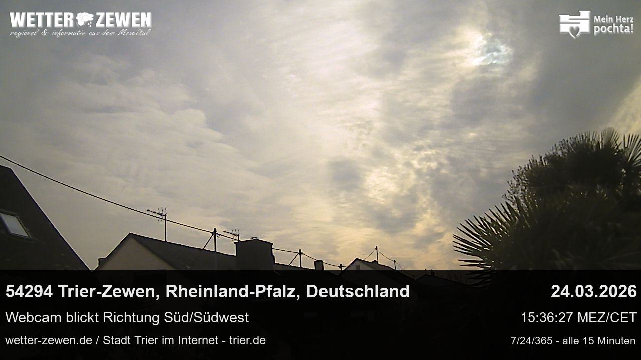 Bild