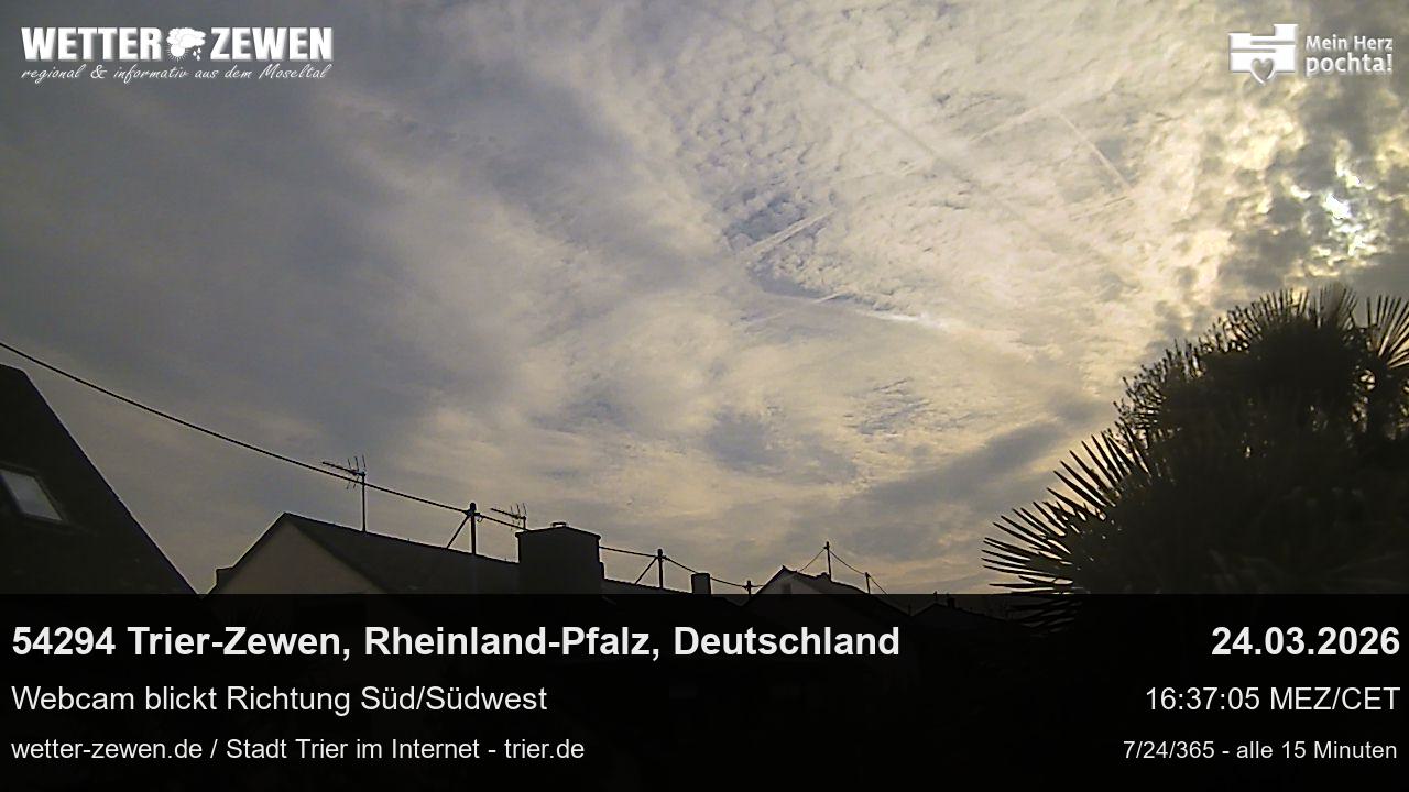 Bild