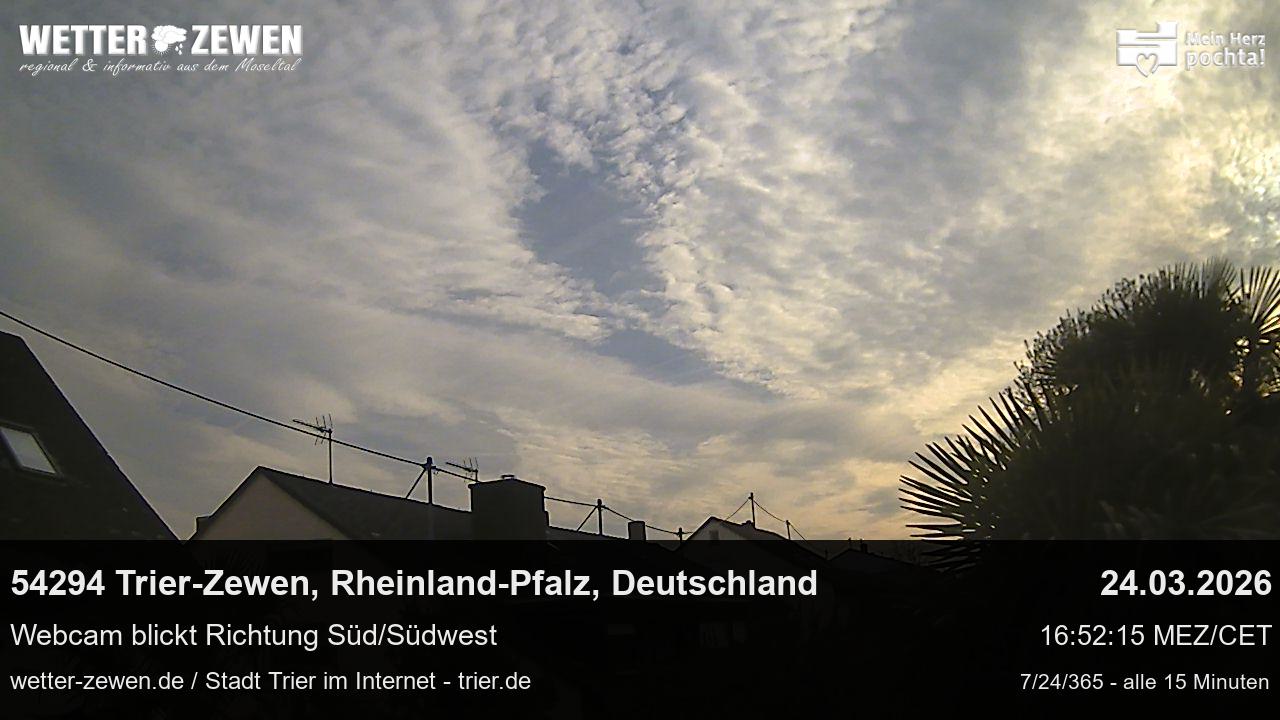 Bild