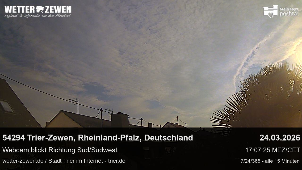 Bild