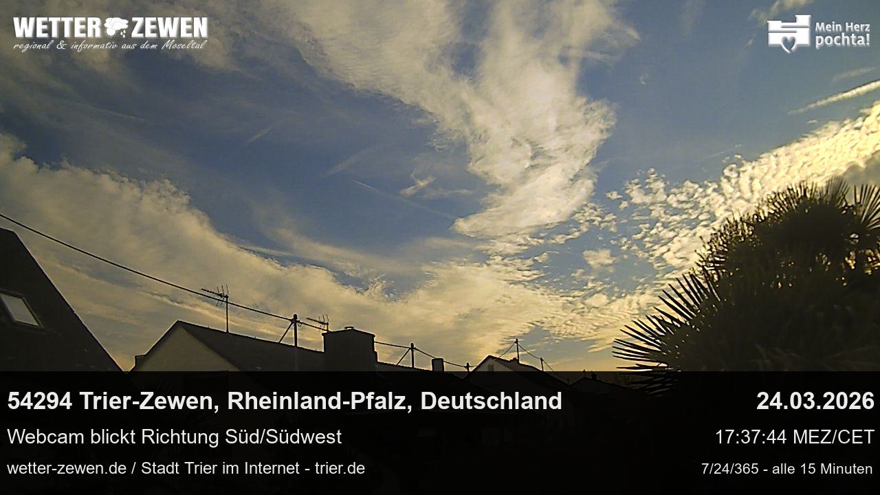 Bild