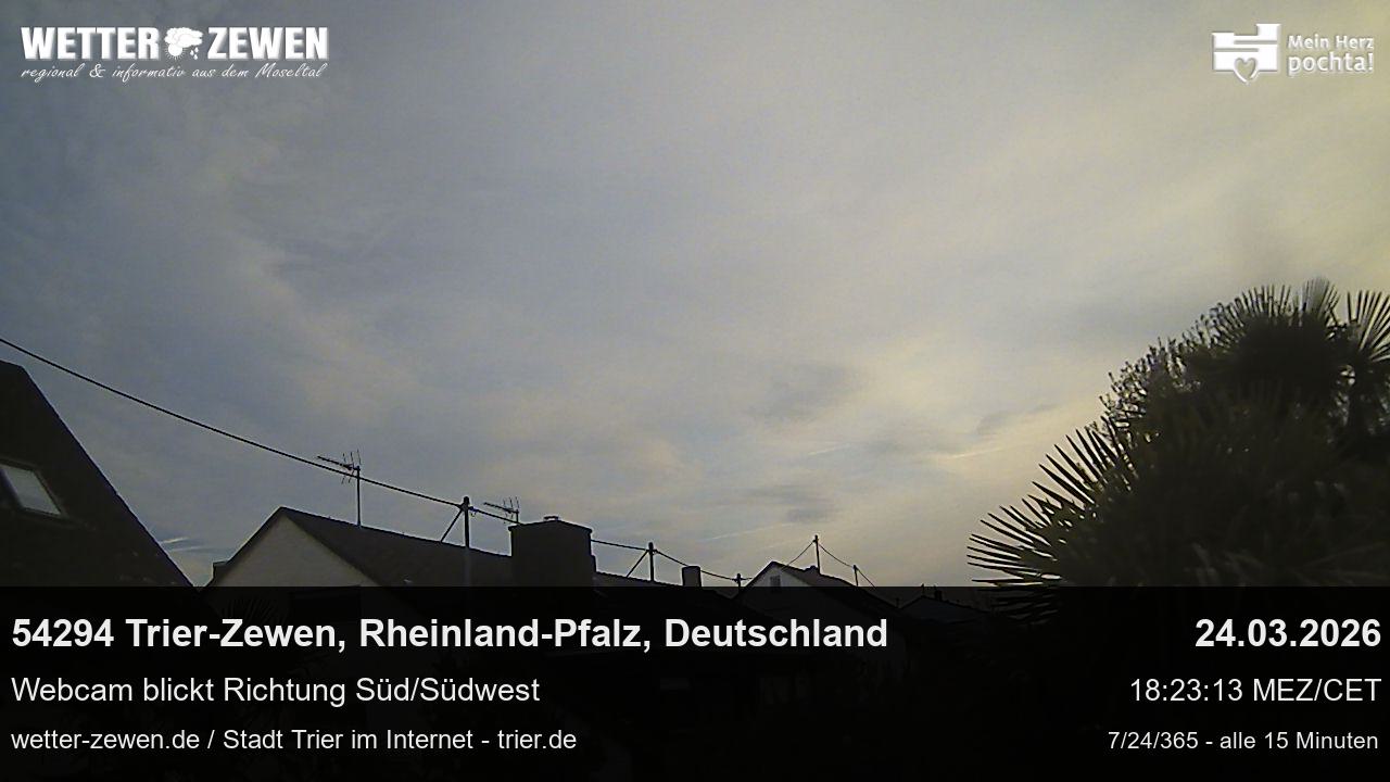 Bild