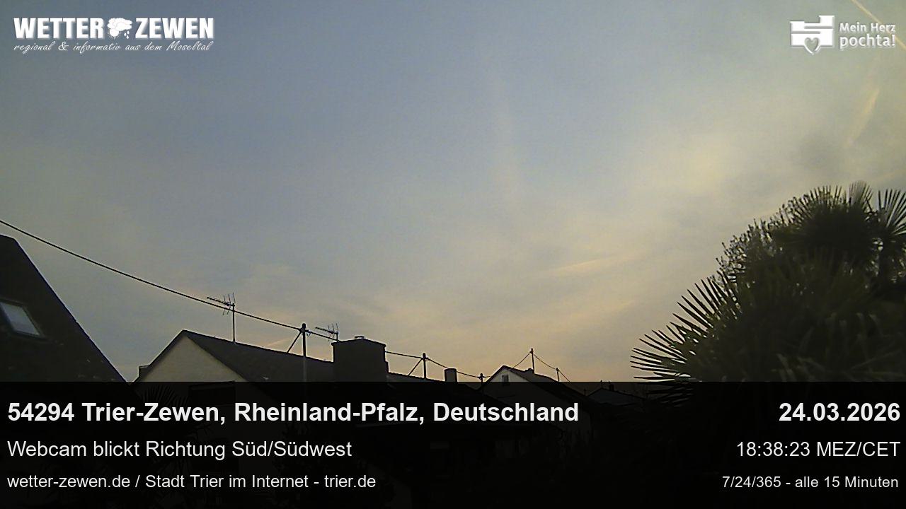 Bild