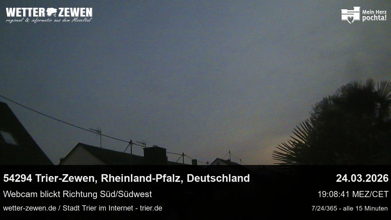 Bild