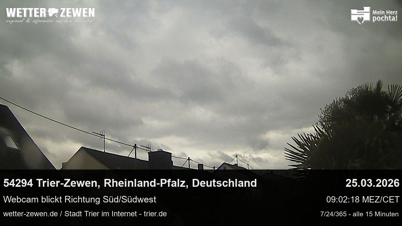 Bild