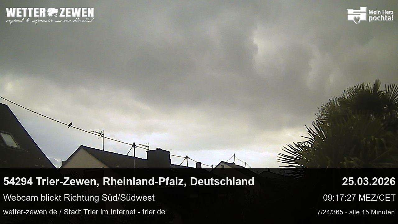 Bild