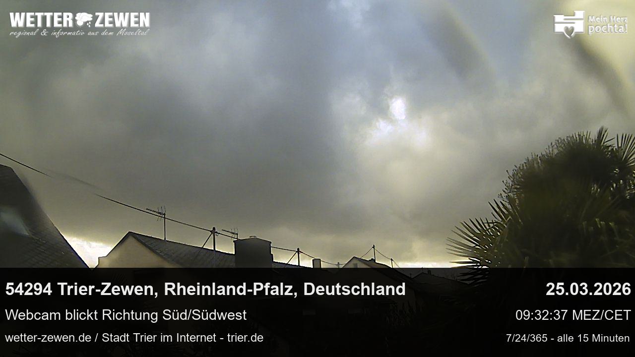 Bild