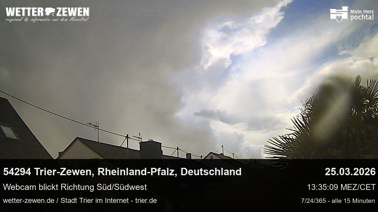 Bild