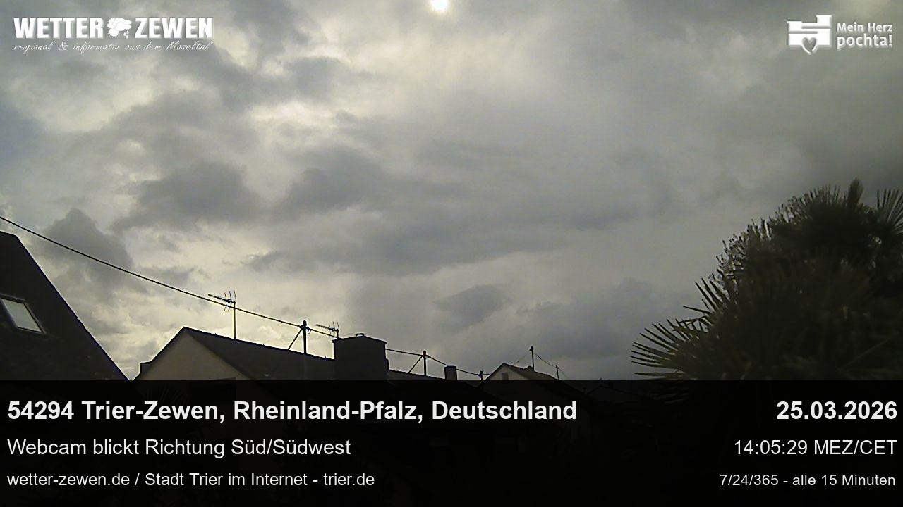 Bild