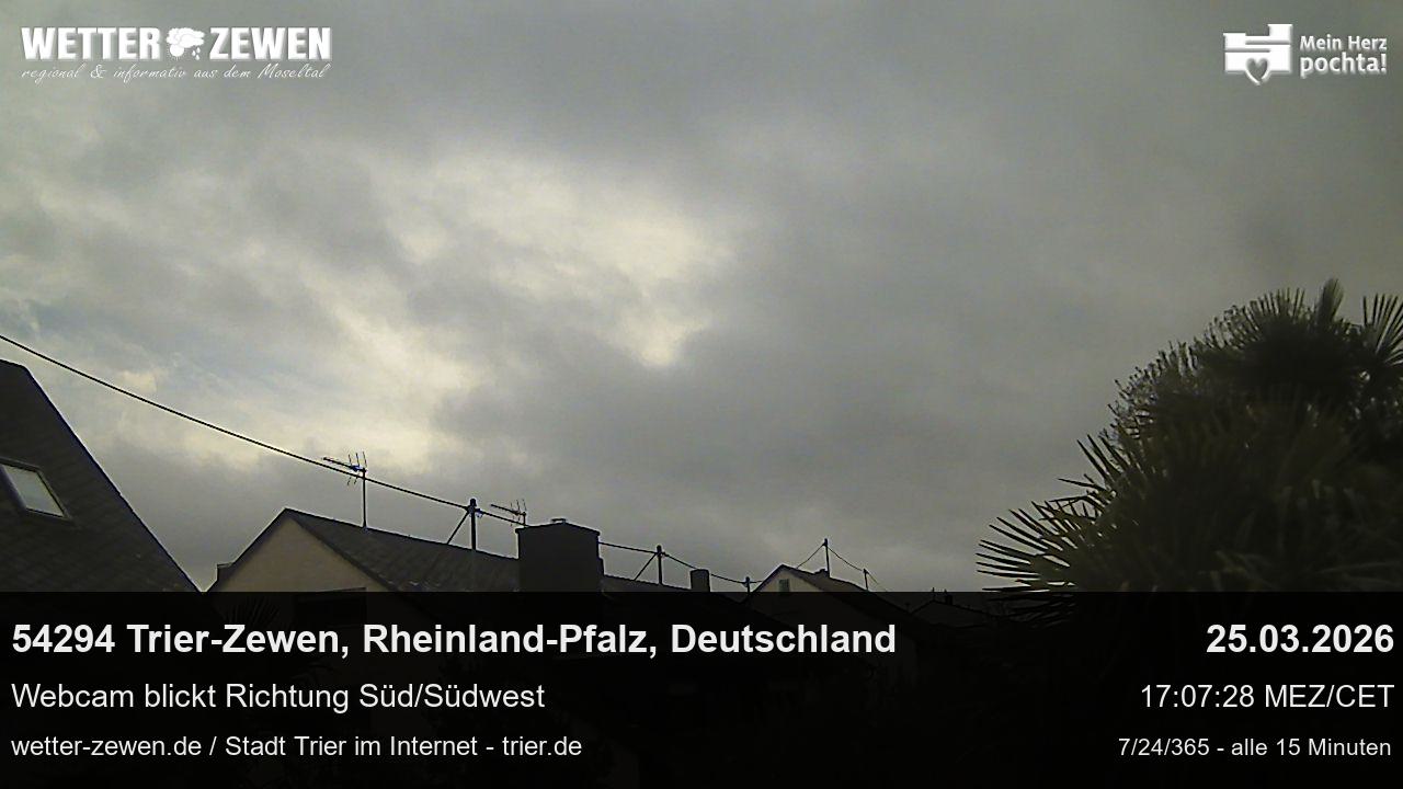 Bild