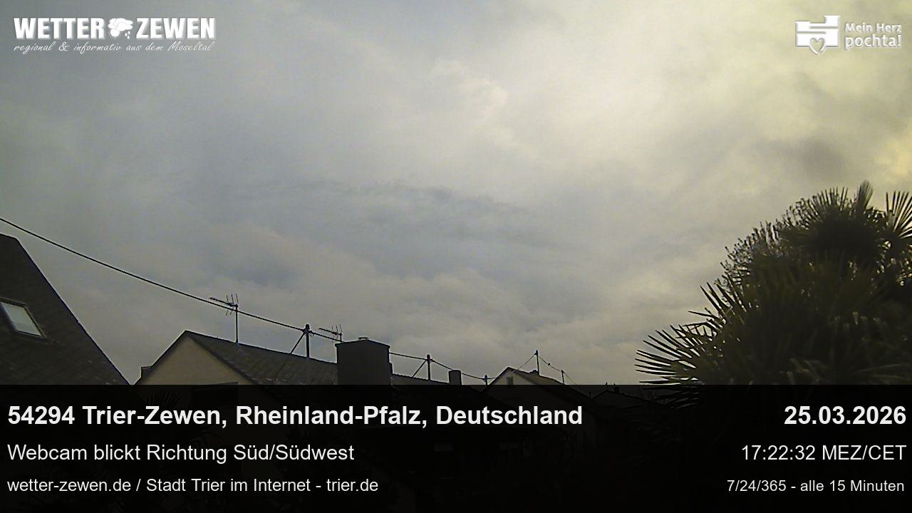 Bild