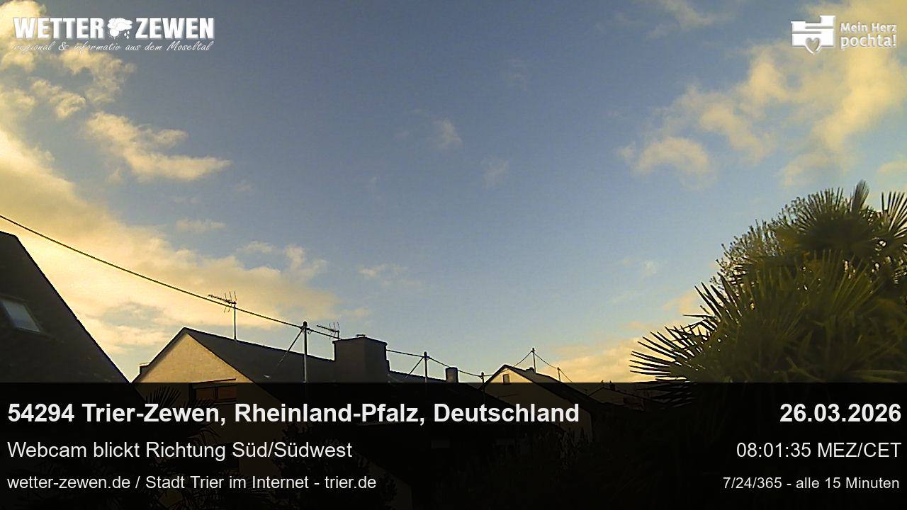 Bild