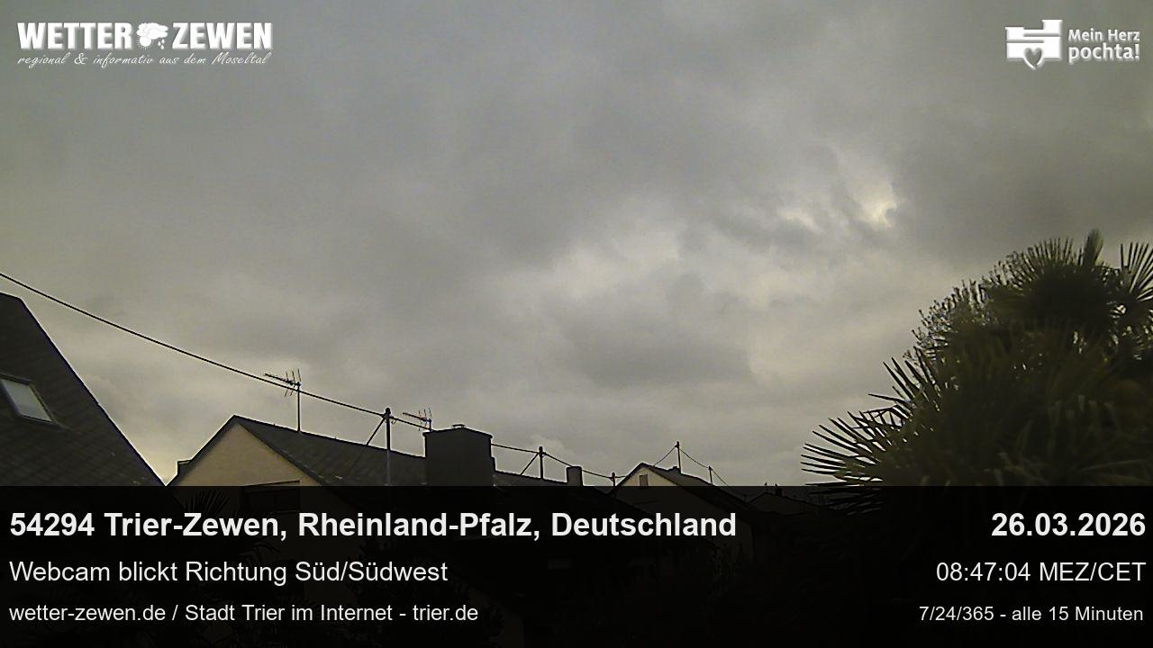 Bild