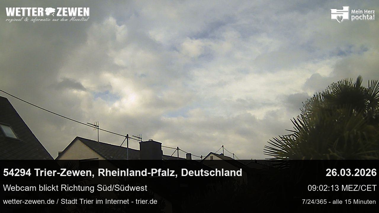 Bild