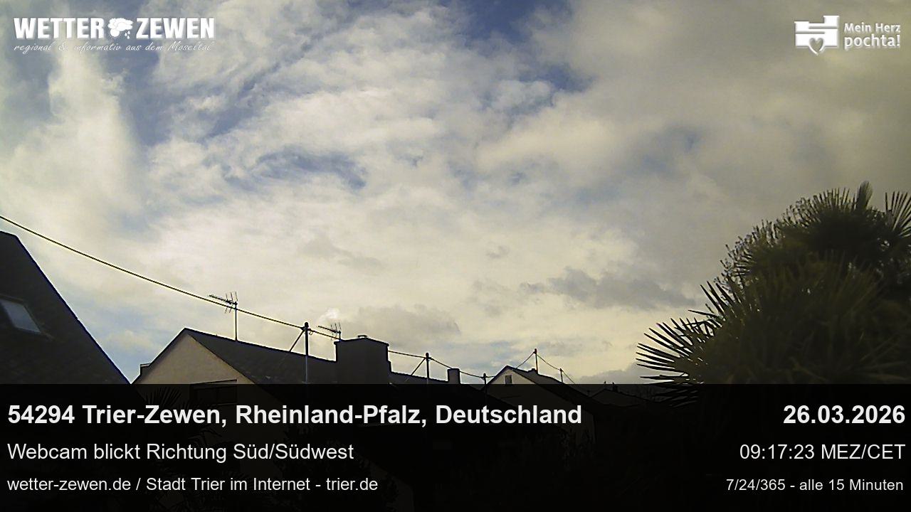 Bild
