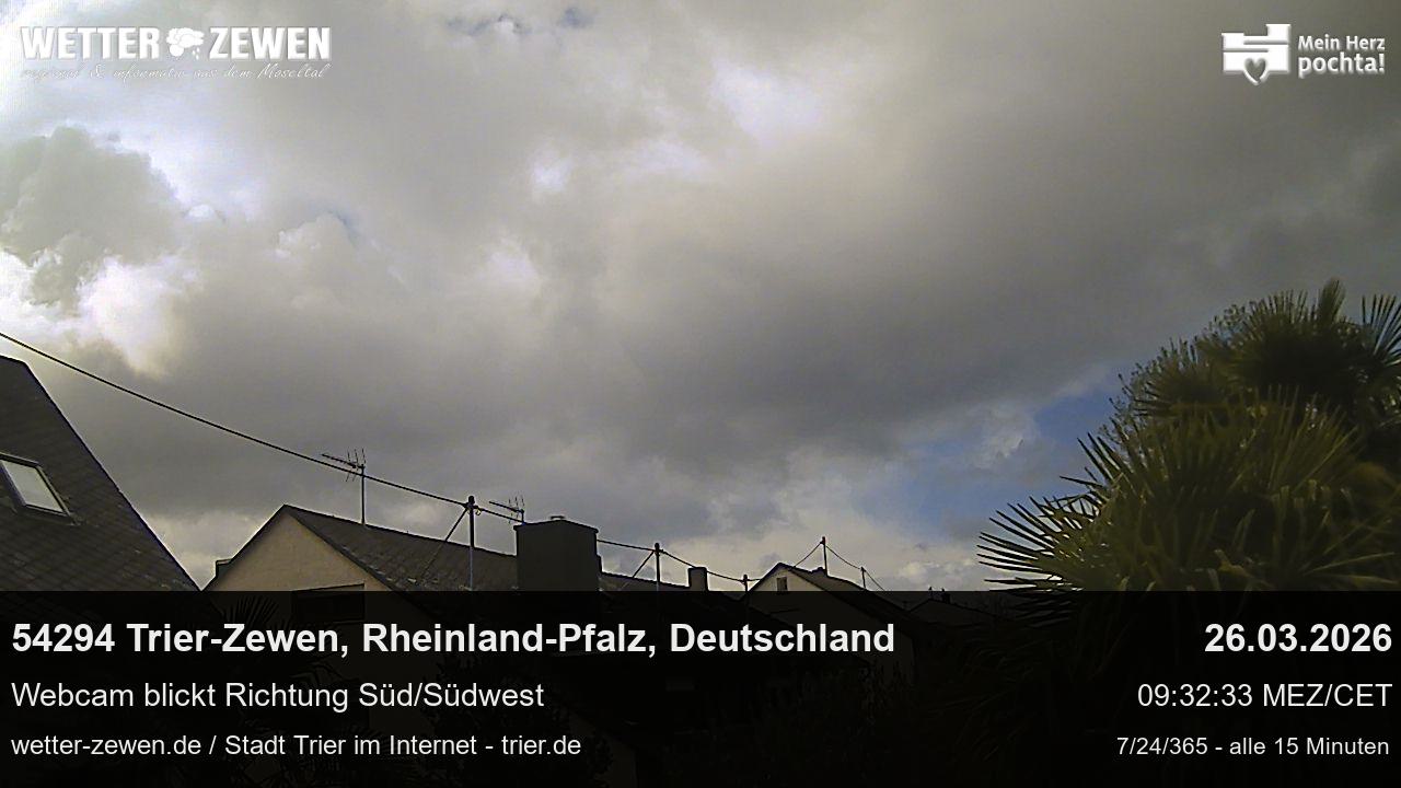 Bild