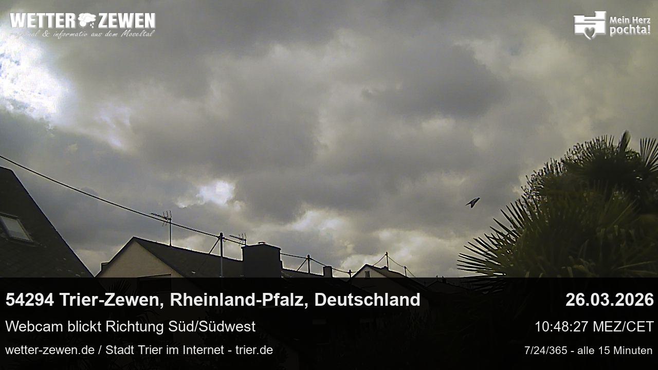Bild