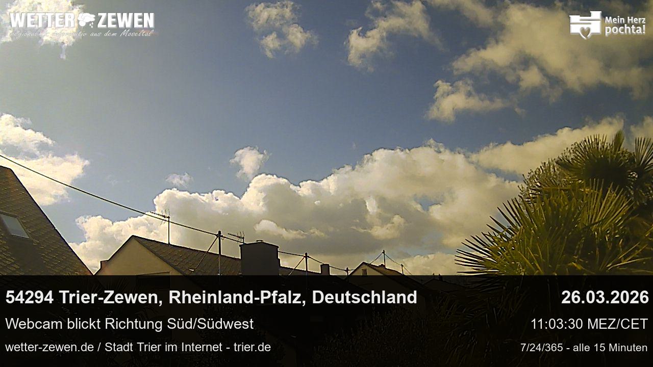 Bild