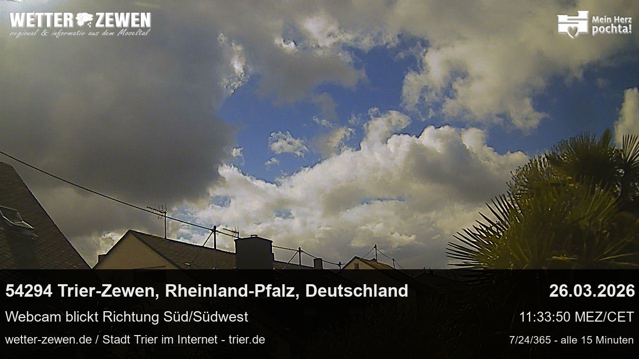 Bild