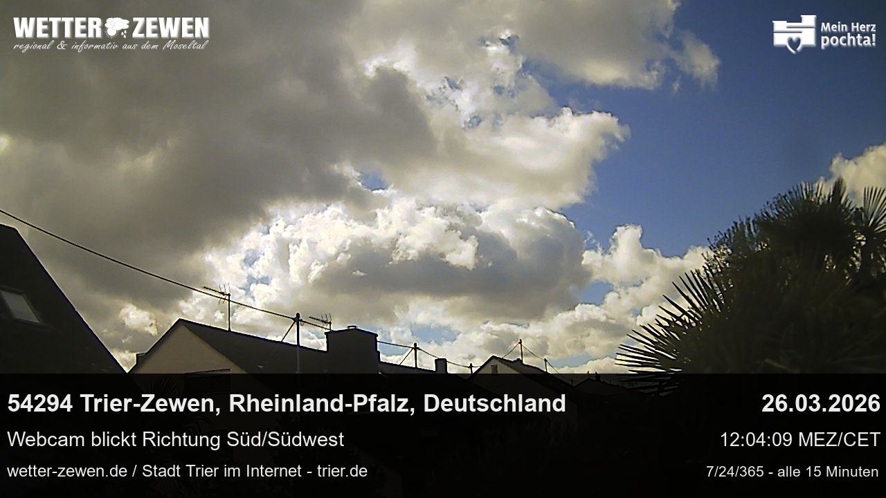 Bild