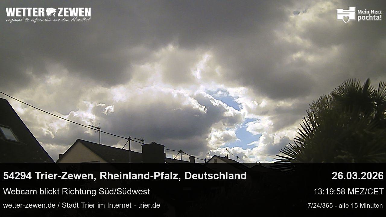 Bild