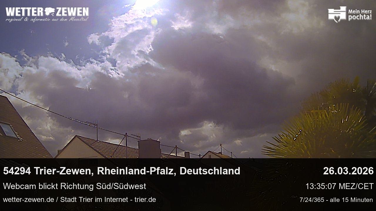 Bild