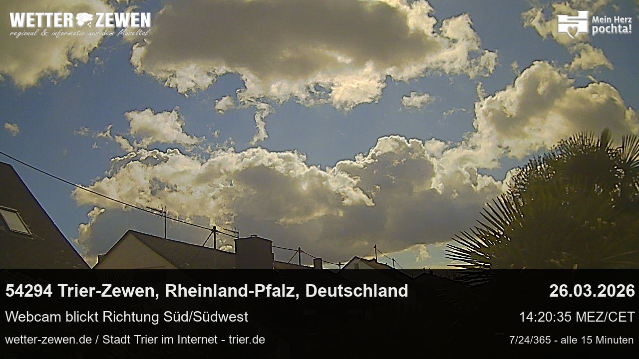 Bild