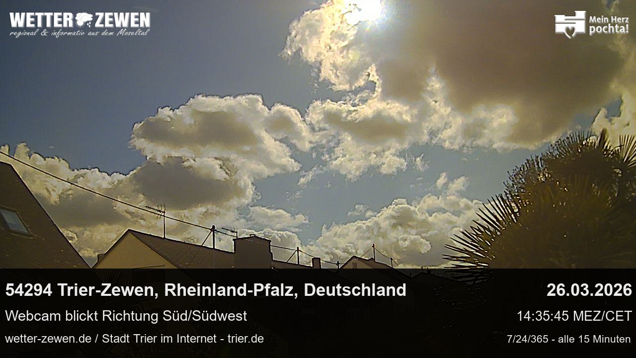Bild