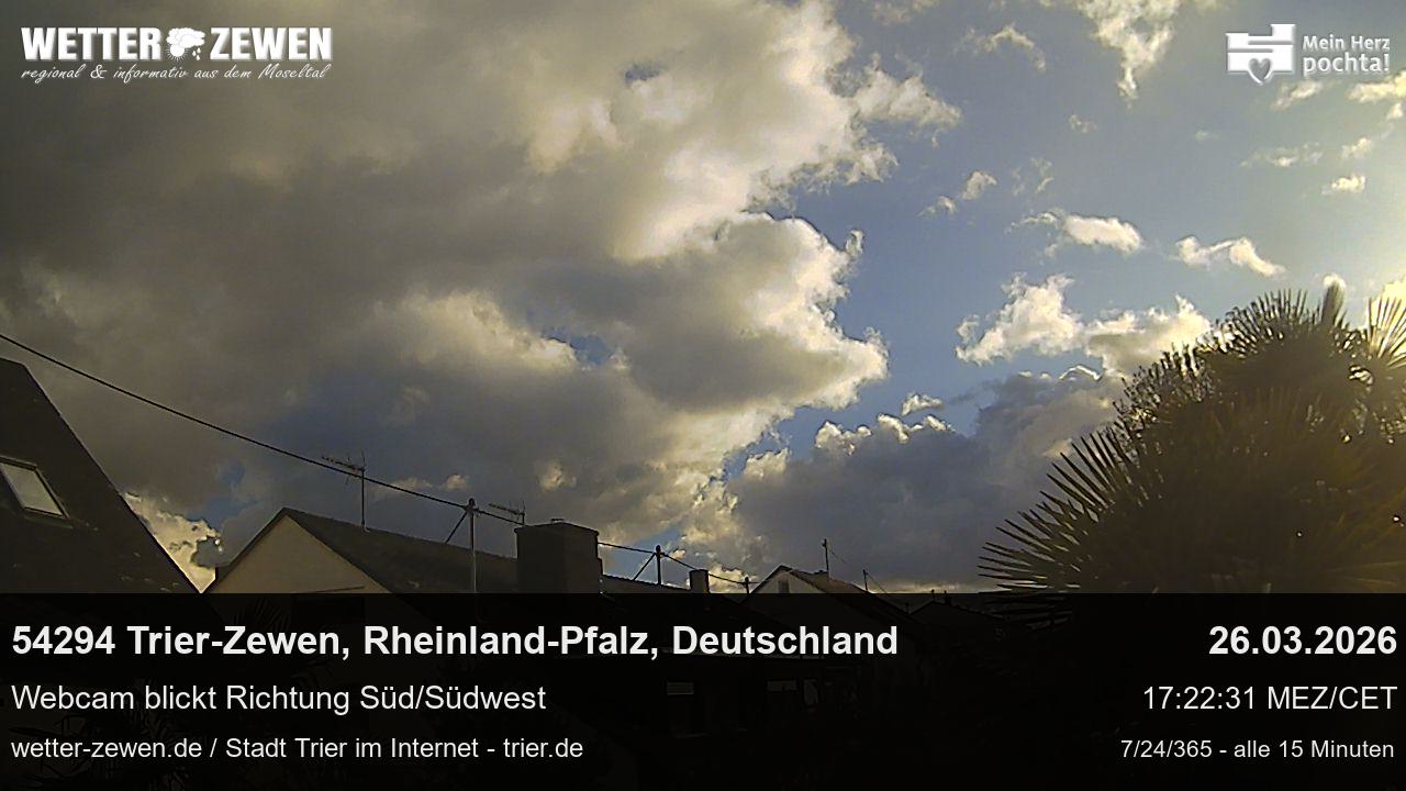 Bild