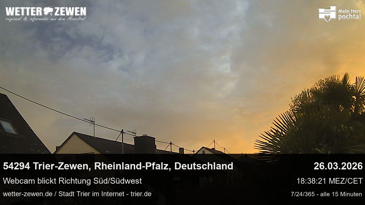 Bild
