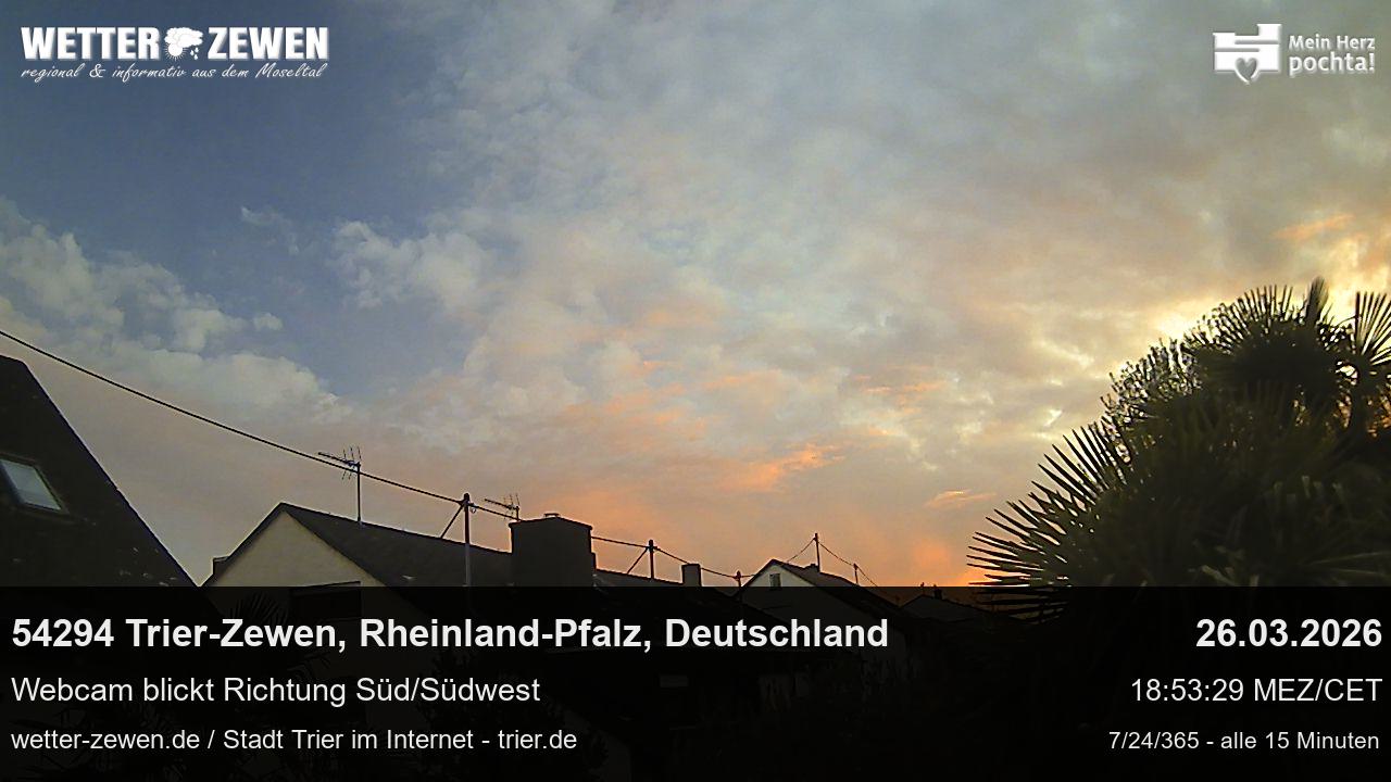 Bild