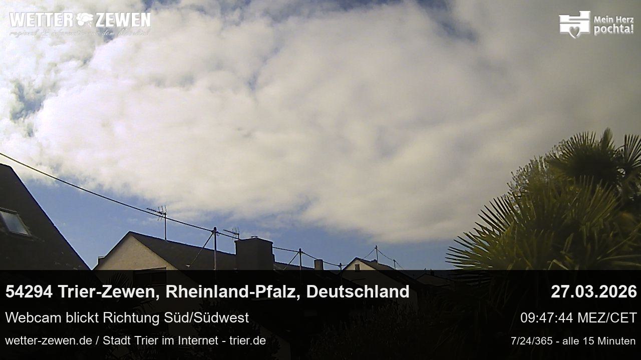 Bild