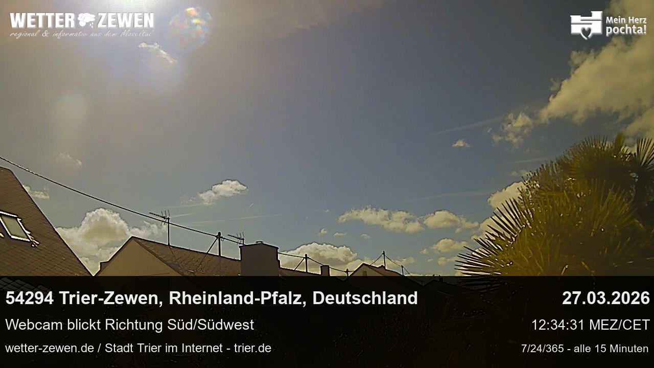 Bild