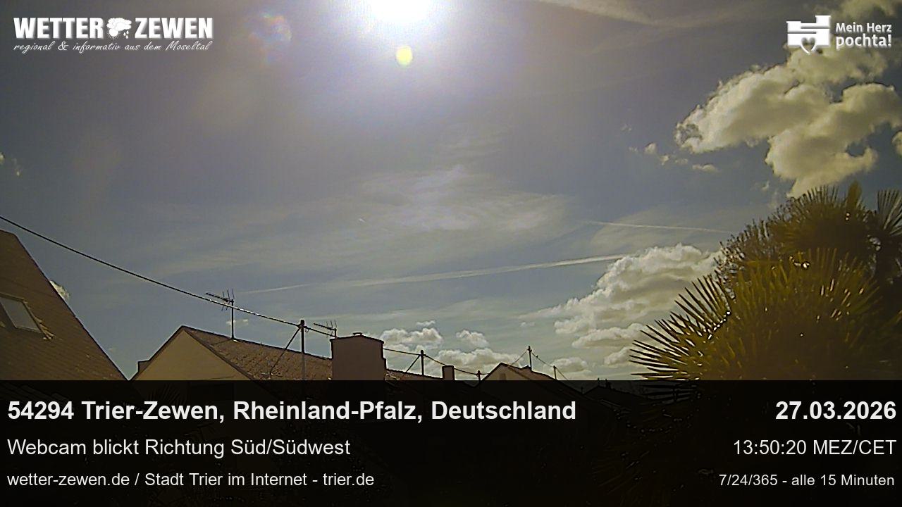 Bild