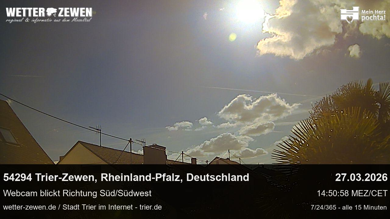 Bild
