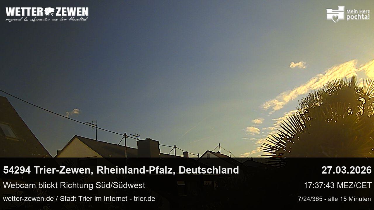Bild