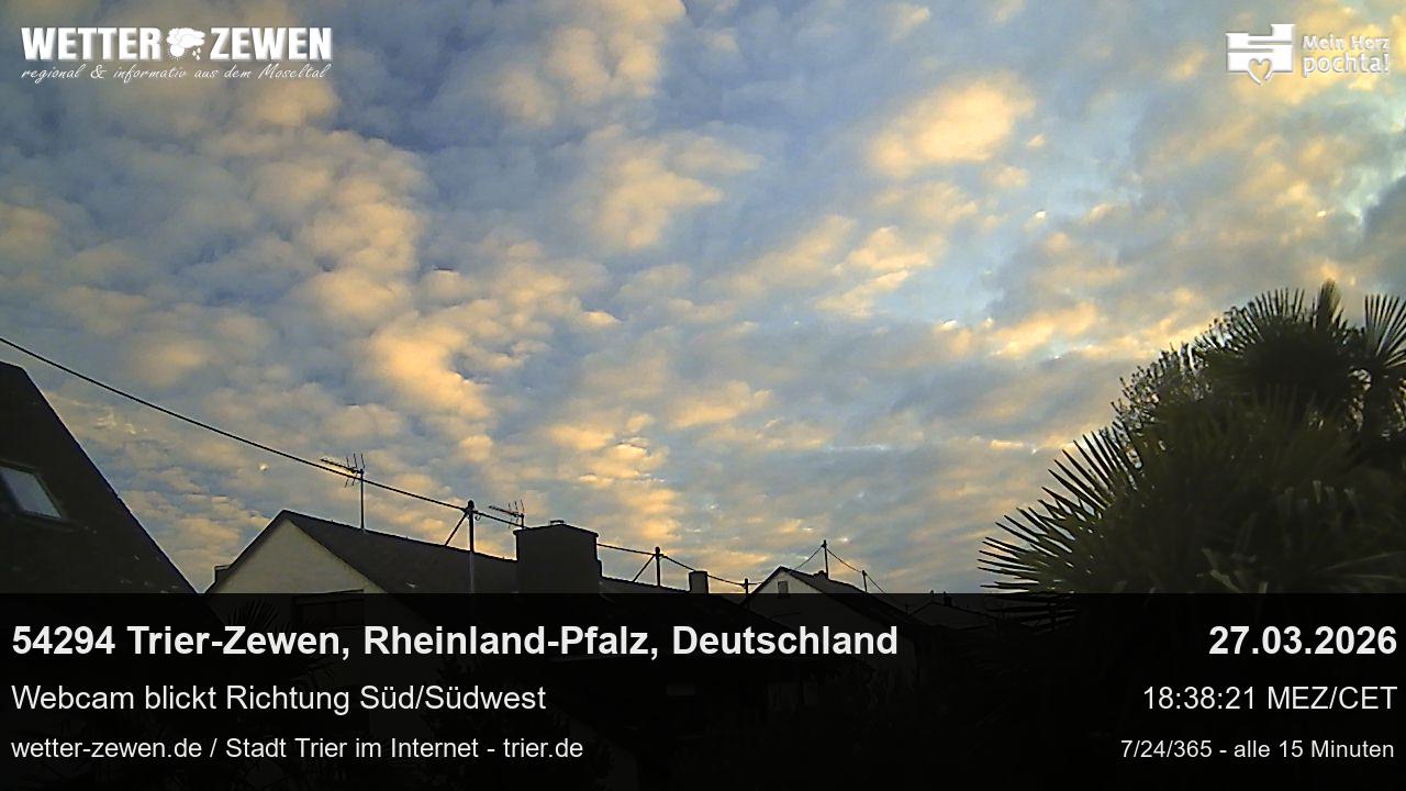 Bild