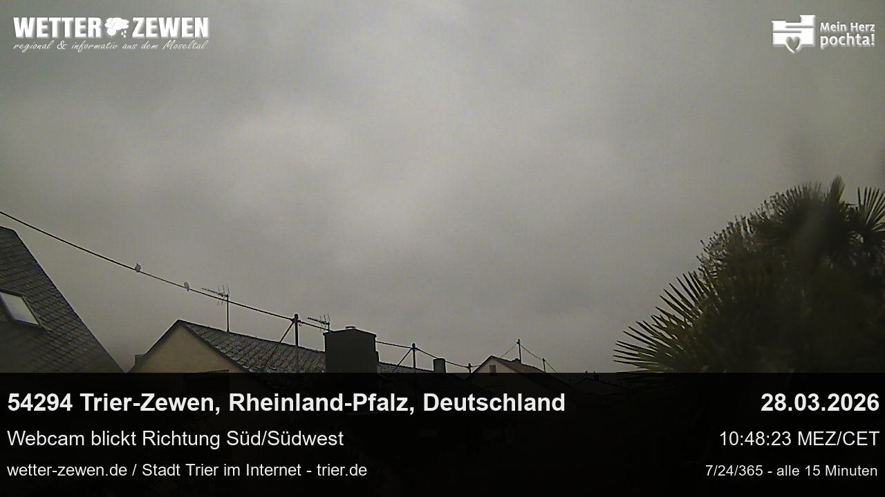 Bild